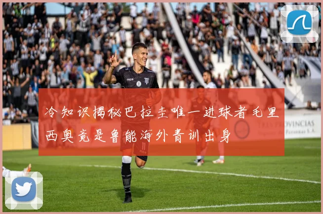 冷知识揭秘巴拉圭唯一进球者毛里西奥竟是鲁能海外青训出身