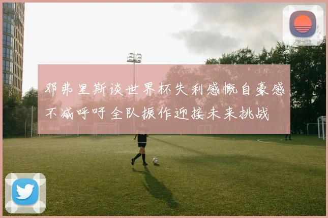 邓弗里斯谈世界杯失利感慨自豪感不减呼吁全队振作迎接未来挑战